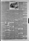 Haverhill Weekly News Saturday 20 July 1889 Page 7