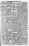 Huddersfield and Holmfirth Examiner Saturday 24 July 1875 Page 11