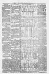 Huddersfield and Holmfirth Examiner Saturday 14 April 1877 Page 12
