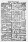 Huddersfield and Holmfirth Examiner Saturday 02 June 1877 Page 12