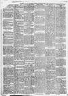 Huddersfield and Holmfirth Examiner Saturday 20 March 1886 Page 10