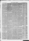 Ilfracombe Chronicle Saturday 30 October 1869 Page 3