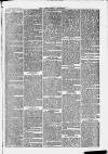 Ilfracombe Chronicle Saturday 13 November 1869 Page 3