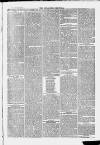 Ilfracombe Chronicle Saturday 20 November 1869 Page 3
