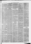 Ilfracombe Chronicle Saturday 20 November 1869 Page 7