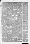Ilfracombe Chronicle Saturday 27 November 1869 Page 3