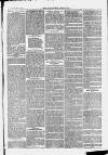 Ilfracombe Chronicle Saturday 27 November 1869 Page 7