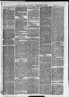 Ilfracombe Chronicle Saturday 17 February 1872 Page 6