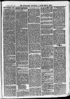 Ilfracombe Chronicle Saturday 24 February 1872 Page 3