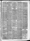 Ilfracombe Chronicle Saturday 25 May 1872 Page 7