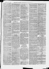 Ilfracombe Chronicle Saturday 27 July 1872 Page 7