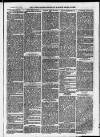 Ilfracombe Chronicle Saturday 09 November 1872 Page 3