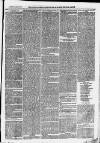 Ilfracombe Chronicle Saturday 15 March 1873 Page 3