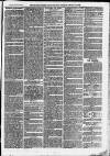 Ilfracombe Chronicle Saturday 15 March 1873 Page 7