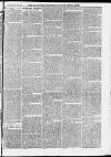 Ilfracombe Chronicle Saturday 19 April 1873 Page 6