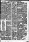 Ilfracombe Chronicle Saturday 10 May 1873 Page 7