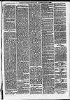 Ilfracombe Chronicle Saturday 14 June 1873 Page 7