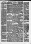 Ilfracombe Chronicle Saturday 21 June 1873 Page 7