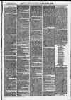 Ilfracombe Chronicle Saturday 28 June 1873 Page 3