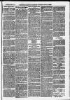 Ilfracombe Chronicle Saturday 28 June 1873 Page 7