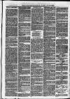 Ilfracombe Chronicle Saturday 19 July 1873 Page 7