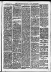 Ilfracombe Chronicle Saturday 11 October 1873 Page 3