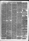 Ilfracombe Chronicle Saturday 08 November 1873 Page 3