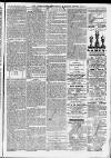 Ilfracombe Chronicle Saturday 15 November 1873 Page 5