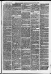 Ilfracombe Chronicle Saturday 22 November 1873 Page 3