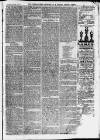 Ilfracombe Chronicle Saturday 03 January 1874 Page 5