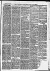 Ilfracombe Chronicle Saturday 10 January 1874 Page 7