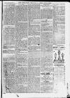 Ilfracombe Chronicle Saturday 31 January 1874 Page 5