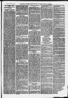 Ilfracombe Chronicle Saturday 21 February 1874 Page 3