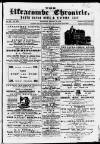 Ilfracombe Chronicle Saturday 28 February 1874 Page 1