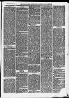 Ilfracombe Chronicle Saturday 28 February 1874 Page 3