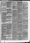 Ilfracombe Chronicle Saturday 14 March 1874 Page 7