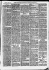 Ilfracombe Chronicle Saturday 11 April 1874 Page 7