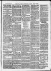 Ilfracombe Chronicle Saturday 18 April 1874 Page 7