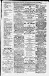 Ilfracombe Chronicle Saturday 18 April 1874 Page 11