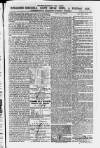 Ilfracombe Chronicle Saturday 23 May 1874 Page 9