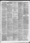 Ilfracombe Chronicle Saturday 20 June 1874 Page 3