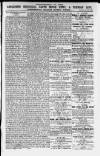 Ilfracombe Chronicle Saturday 27 June 1874 Page 9