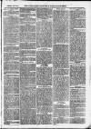 Ilfracombe Chronicle Saturday 25 July 1874 Page 3