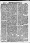 Ilfracombe Chronicle Saturday 31 October 1874 Page 3