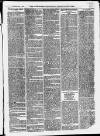 Ilfracombe Chronicle Saturday 02 January 1875 Page 3