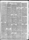 Ilfracombe Chronicle Saturday 09 January 1875 Page 3
