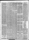 Ilfracombe Chronicle Saturday 09 January 1875 Page 10