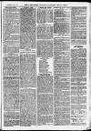 Ilfracombe Chronicle Saturday 09 January 1875 Page 11