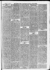 Ilfracombe Chronicle Saturday 23 January 1875 Page 3