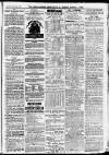 Ilfracombe Chronicle Saturday 30 January 1875 Page 9